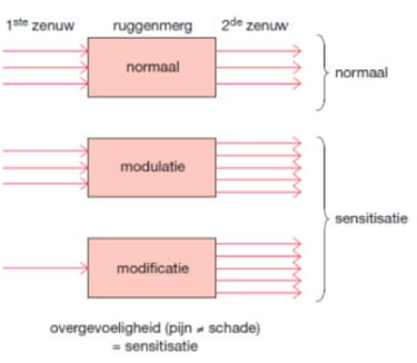 Pijnmodulatie en voorlichting hoe werkt pijn