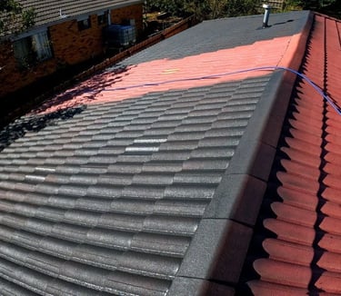 roof painting services fort lauderdale florida 