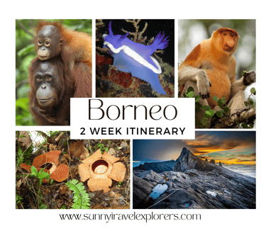 Borneo itinerary 2 weeks