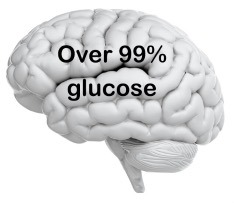 Our brain is 90% glucose, not fat