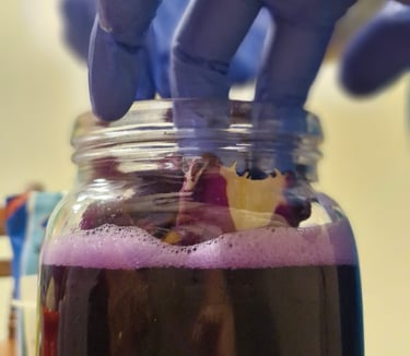 Unas manos con guantes aplastando col morada para hacer chucrut.