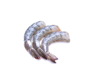 black tiger shrimp pdto