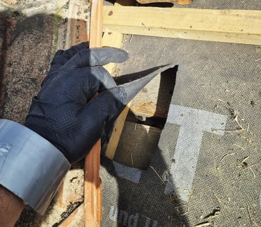 Traitement toiture contre les fourmis charpentières