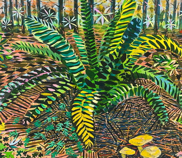 ferny pines
