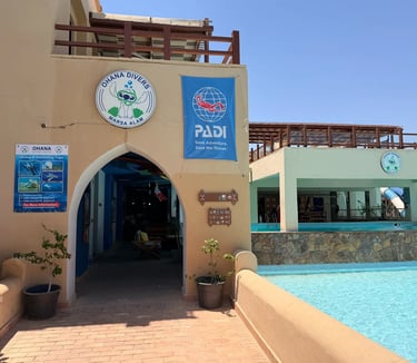 ohana-divers-marsa-alam-dive-center-pool