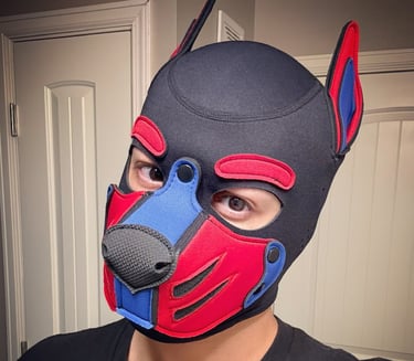 Man in pup hood.