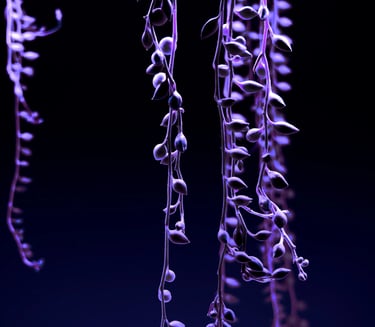 digital art, video installation,  joanna wlaszyn