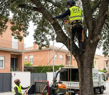 Poda, Tala y Manejo Arbóreo Profesional - DYZ Ingeniería