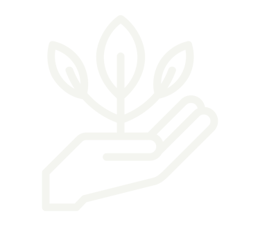 White line art icon of a hand holding a growing plant seedling representing environmental sustainability.