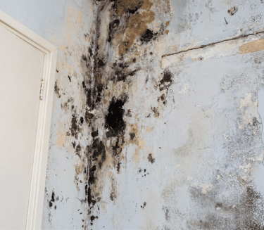 alt="Wall with water damage and visible mold spots, indicating indoor moisture issues"