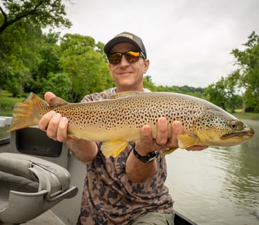 Big brown trout feed on streamers on the muddy water days.