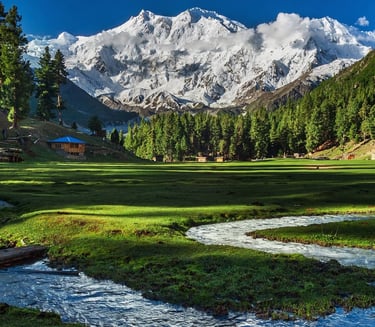 Fairy Meadows