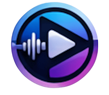 Pikksaar_media_labs_logo