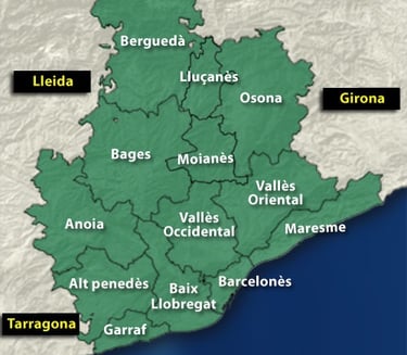 vaciado de pisos en la provincia de Barcelona