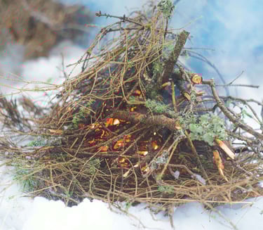 image of starting fire in any condition using 