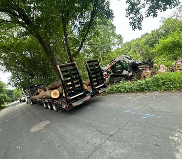 tree-trunk-being-removed.jpg
