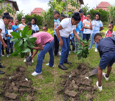 The kids planting a tree