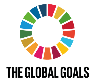 Metas globales agenda 2030