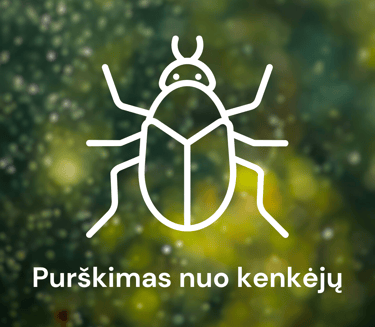 Purškimas nuo kenkėjų Kaune