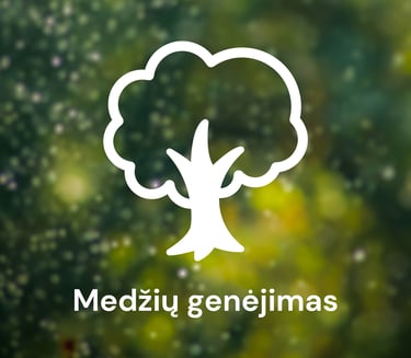 Medžių genėjimas Kaune