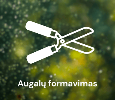 Augalų genėjimas, karpymas, formavimas