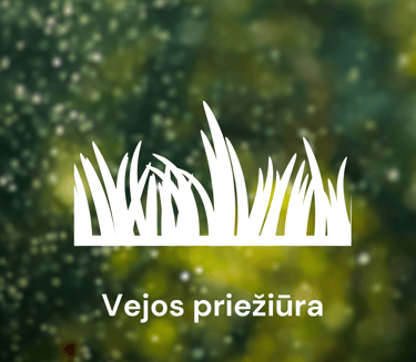Vejos priežiūra Kaune