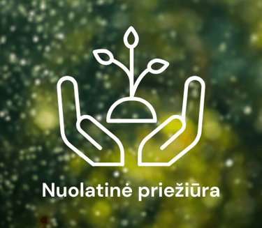 nuolatinė sklypo priežiūra ikona