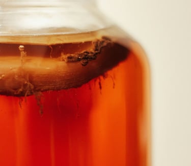 Frasco de kombucha, se ve el scoby con sus levaduras.