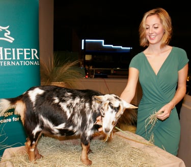 LA PREMIERE OF HEIFER INTERNATIONAL'S "12 STONE"