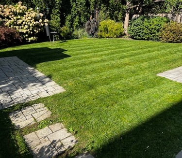 freshly mowed grass, perfect lines in grass