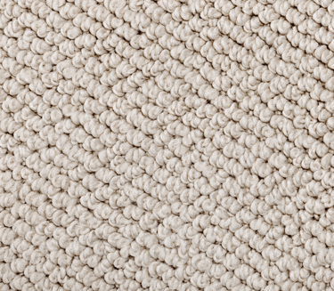 carpet cleaning service for berber carpet and loop carpet