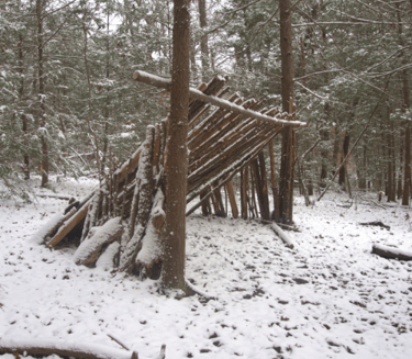Lean-to shelter in snowy pine forest, winter bushcraft structure and cold survival