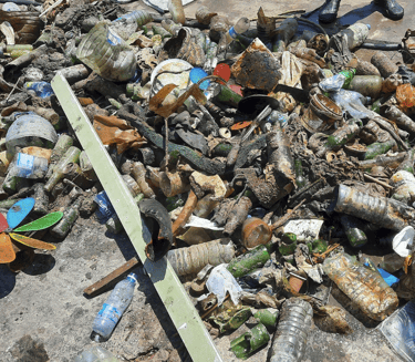 Déchets