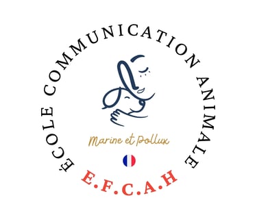 Ecole de Communication Animale - Partenaire La Phyto d'Anaïs