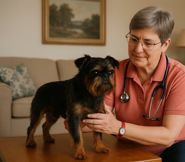 Tierheilpraktikerin führt einen Gesundheitscheck bei einem Hund zu Hause in Hannover durch