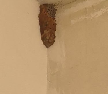 דותן המדביר - מדביר מורשה אור עקיבא