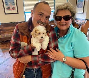 Maltipoo puppies for sale near me