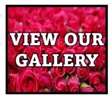 garden nursery roxbury NJ plants shrubs trees