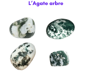 Les pierres naturelles Agate arbre Les Couleurs de Lo