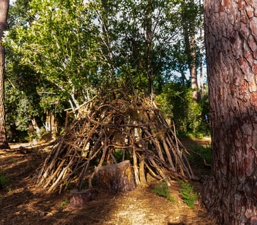 building shelter in the wild