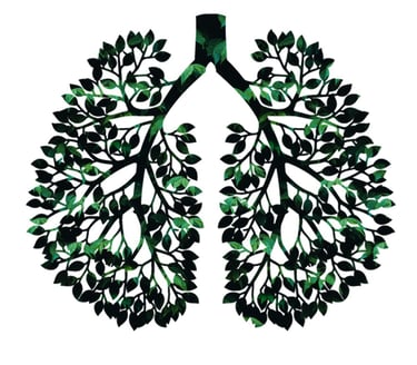 graphic poumon nature