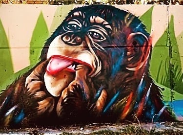 un graffiti d'un singe qui tire la langue