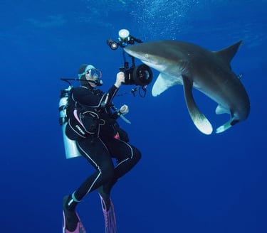 requin océanique avec steven surina qui le photographie