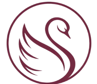 logo ose ta métamorphose