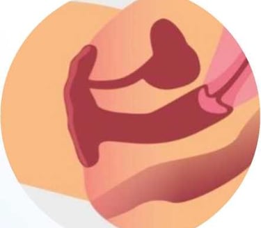 фото Схема здорової піхви