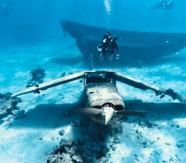a scuba diver enjoying with a plane wreck