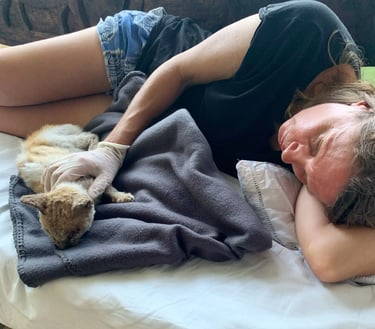 Fran sleeping on a couch with a sick cat