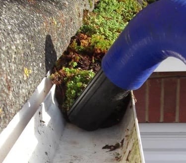 "gutter vacuum system removing moss and debris from a roofline in Norwich, Norfolk – PJB Exte