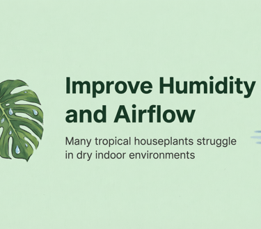 Improve Humidity and Airflow