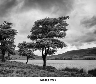 a black and white photo of a widdop reservoir water and trees